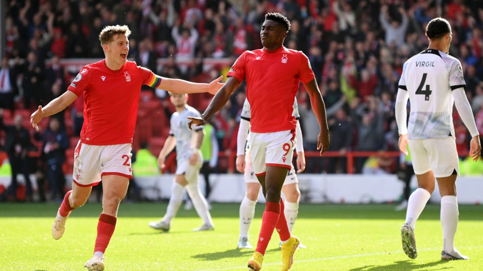 豪哥之路 豪哥之路